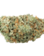 G13