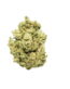 Gorilla Glue