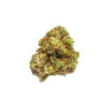 Premium Stardawg