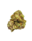 Premium Stardawg