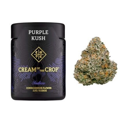 Purple Kush | 27% THC