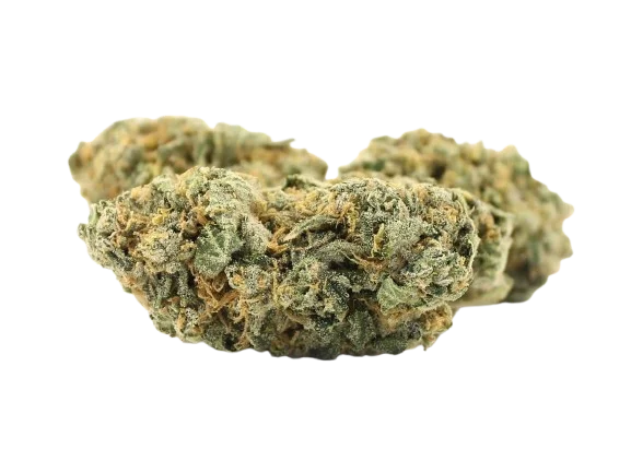 Critical Kush