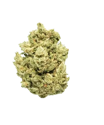 Gorilla Glue