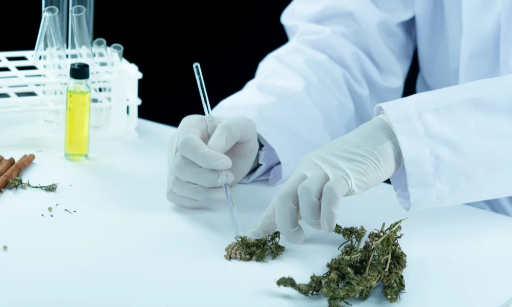 What Is THC? A Beginner’s Guide for UK Cannabis Users